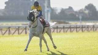 今年は3人にチャンス！ 史上初の有馬記念「騎手の兄弟制覇」