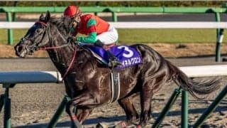 【中山大障害予想】下半期の障害王者決定戦 飛越センスやスタミナなどジャンパーとしての総合力を問う