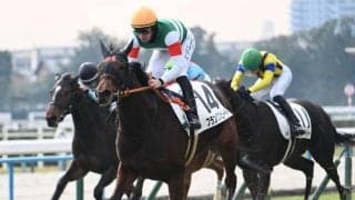【京都5R新馬戦結果】フランケル産駒フランクスピードが3馬身半差で快勝