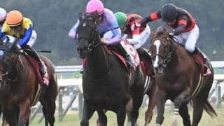 【JRA・WIN5】本日のWIN5は的中89票、配当341万4570円