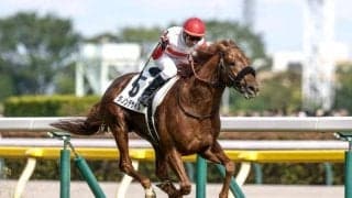 【有馬記念予想】前走4角位置が勝負の分かれ目!? 前回同様に人気を裏切る不安がある実力馬とは