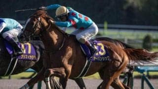 【AI予想・有馬記念】一気に混戦ムードとなったグランプリ 複勝率100%のデータに該当した本命候補とは
