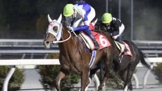 【高知・鏡川特別】マジックセブンが準重賞勝利