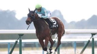 【万両賞】キタサンブラック産駒 連闘ライラが2連勝