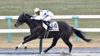 【新馬/京都6R】3連単480万馬券！トウタツがVで大波乱