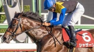 母はGI覇者のクイーンズリング 素質馬がサンタクロースSで1年3カ月ぶりの復帰戦だ