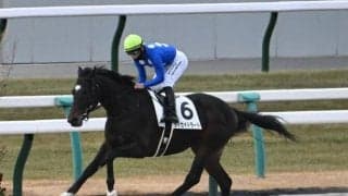 【京都4R新馬戦結果】アメリカンファラオ産駒タイセイドラードが大差勝ち