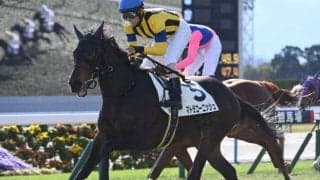 【京都6R新馬戦結果】サートゥルナーリア産駒マトラコーニッシュが突き抜けV