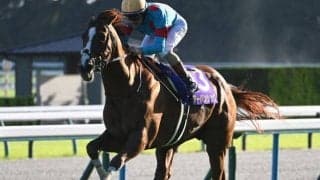 【有馬記念・馬体重】アーバンシックは516kg(+6)、ダノンデサイルは520kg(-2)