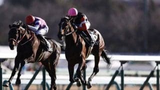【グッドラックHC】大外スティンガーグラスが人気に応える…有馬記念と同距離レース