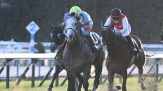3歳未勝利馬が2勝クラスを制す 格上挑戦で2馬身半差の快勝/京都12R・ジングルベル賞