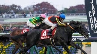 2歳中距離王者決定戦・ホープフルS/今週の競馬界の見どころ