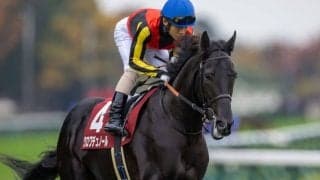 【ホープフルS登録馬】クロワデュノールなど19頭