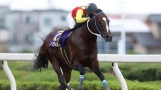 TUBE・前田亘輝氏の愛馬ノブワイルドが死亡 浦和競馬場内に献花台設置
