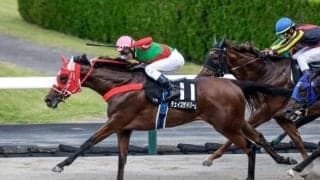 【先週のJRA抹消馬】芝・ダ双方で活躍のチェイスザドリーム、2.7億円馬ダノンザタイガーなど