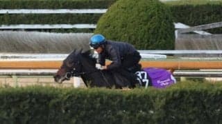 叔母に芝6勝馬もつエピファネイア産駒 ロックエンジェルが土曜京都で初陣へ/関西馬メイクデビュー情報