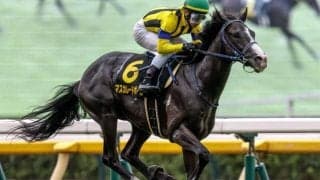 【AI予想・ホープフルS】前走の人気や生産牧場に顕著な傾向あり！ 人工知能は無敗馬3頭を高評価