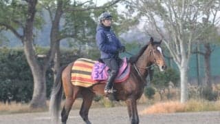 半姉にテルツェット、叔母にラヴズオンリーユーの良血 ノクターンが土曜中山で初陣/関東馬メイクデビュー情報