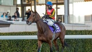 3歳牝馬による歴史的な有馬記念V レガレイラから学ぶスワーヴリチャード産駒の成功パターンとは