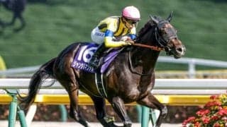 凝縮された“異様”な血統が高い効果を発揮 ジャンタルマンタルなどにも影響与えるクワイエットアメリカンの血