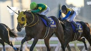 東京大賞典は12月29日「福の日」開催 近10年の2と9の成績を調べてみると