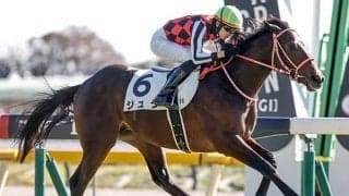 史上初の2歳GI完全制覇なるか ホープフルSは3億円馬らセレクトセール出身馬に注目