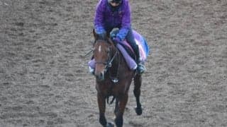 タニノミッションの2022(コンプリート)など、先週のゲート試験/栗東トレセンニュース