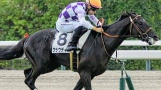 史上初のホープフルS父仔制覇へ 京都2歳Sで3着のサートゥルナーリア産駒が参戦