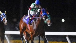 【浦和・ゴールドC結果】アウストロが3連勝で重賞初制覇！スマイルウィは4着に敗れる