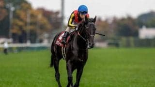 【ホープフルS予想オッズ】クロワデュノールが予想1番人気