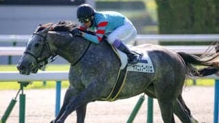 【ホープフルS】2歳世代が好調の錦岡牧場 ヤマニンゼファー以来31年ぶりGI制覇なるか
