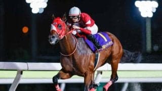 【大井・東京大賞典枠順】フォーエバーヤングは4枠4番、ウィルソンテソーロは2枠2番