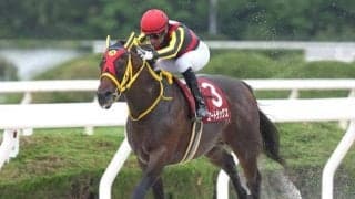 【園田・兵庫GT注目馬】実力拮抗で全頭に上位進出のチャンスあり？ 大混戦模様のハンデ重賞