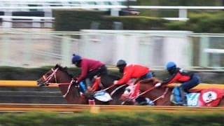 フォーエバーヤング、東京大賞典最終追い切り速報/栗東トレセンニュース