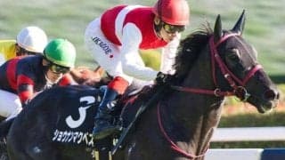 名馬イクイノックスのいとこ ホープフルSで厩舎・牧場にビッグタイトルをもたらすか