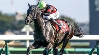 【中山金杯想定】クリスマスパレード、シンリョクカなど22頭