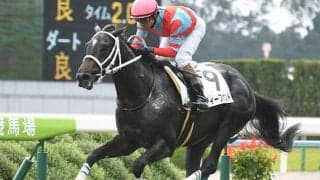 「GI未勝利の賞金王」ディープボンドが登録抹消 今後は京都競馬場で乗馬に