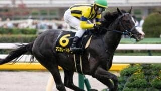 今秋無念の引退となったマスクトディーヴァの悔しさを晴らすか ホープフルSに半弟が挑む