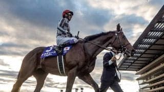 ドウデュースの競走馬登録を抹消 25日付で