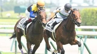 現役時代わずか1勝の良血種牡馬 ヘンリーバローズ産駒がホープフルSでGI初挑戦