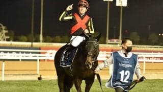 地球約3周分を飛行機移動!? “空飛ぶダービー馬”シャフリヤール