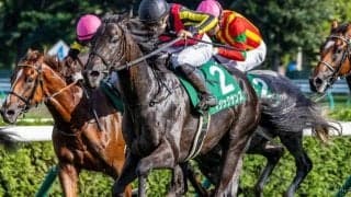 今年重賞3勝と数字残した気鋭の若手騎手 ホープフルSでGI初制覇狙う