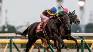 【ホープフルS枠順確定】クロワデュノールは3枠6番、マスカレードボールは8枠18番