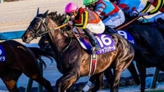 シャフリヤールが競走馬登録を抹消 21年日本ダービー、22年ドバイSCとGI・2勝