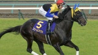 初ダートの前走を4馬身差圧勝 “ダート界の新星”候補が大舞台に向け連勝なるか