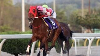 【岩手競馬】ゴールデンヒーラーの引退式