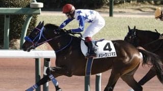 【新馬/中山6R】メリークリスマスがデビューV