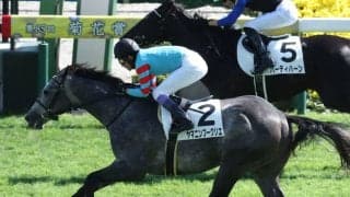 【ホープフルS】JRA・G1完全制覇がかかる武豊騎手は4枠7番ヤマニンブークリエとのコンビ