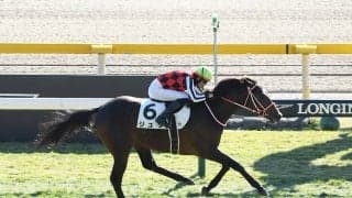 【競馬予想】ＧＩホープフルＳは200万馬券の再現か!?　穴党記者が高配当の使者に抜擢した伏兵２頭