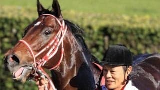 重賞2勝クイーンマンボの初仔 土曜中山10Rで3連勝狙う